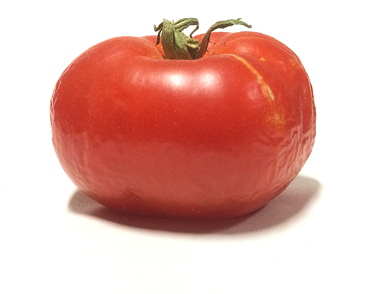 eves-tomato-72
